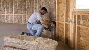 Best Eco-Friendly or Green Insulation Solutions  in Potosi, TX